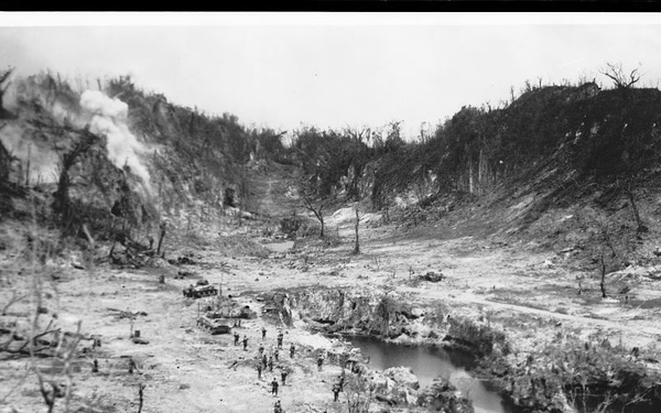 Marine Corps, Palau, Peleliu, World War II