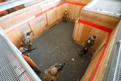 Shoothouse creates realistic training scenario for Soldiers [Image 9 of 10]