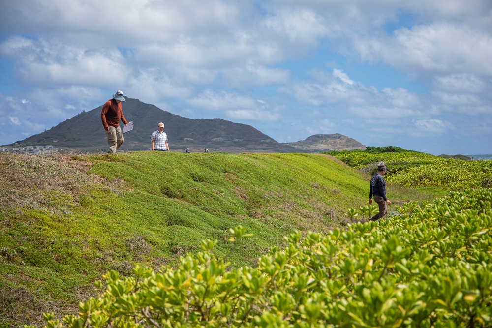 MCBH partners with outside agencies to account for Wedge-Tail Shearwater colony