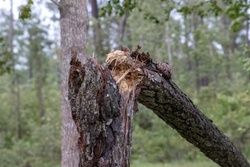 Immediate Damage assessment of Hurricane Dorian [Image 4 of 23]