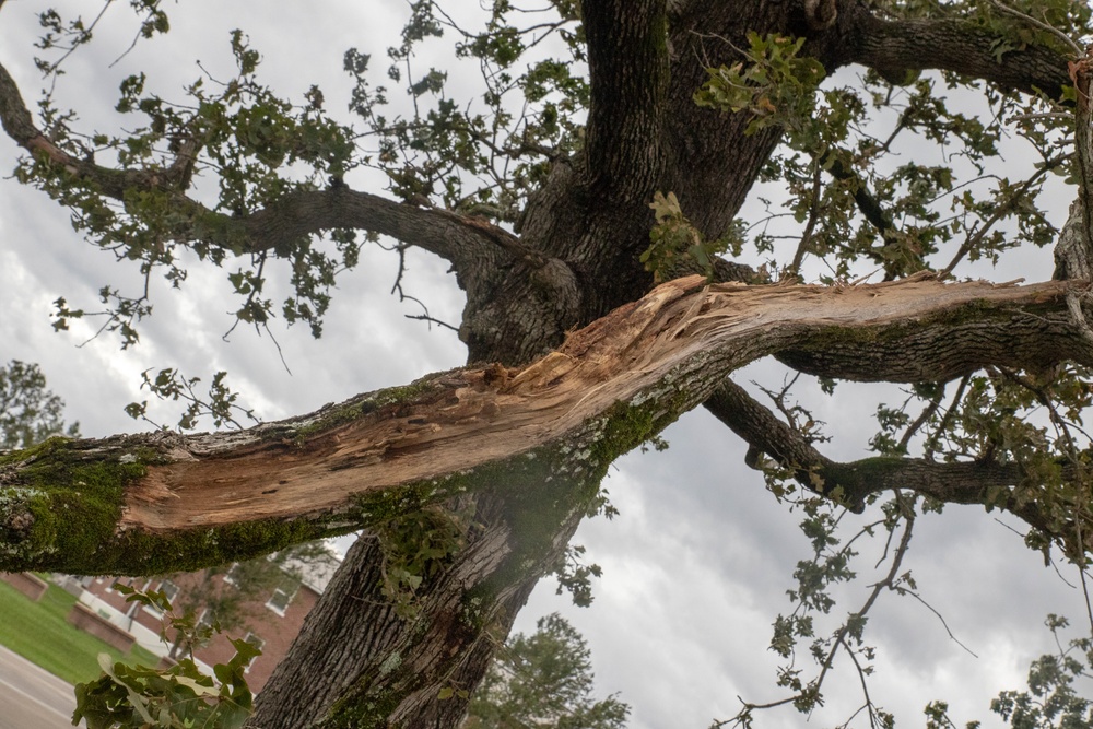Immediate Damage assessment of Hurricane Dorian