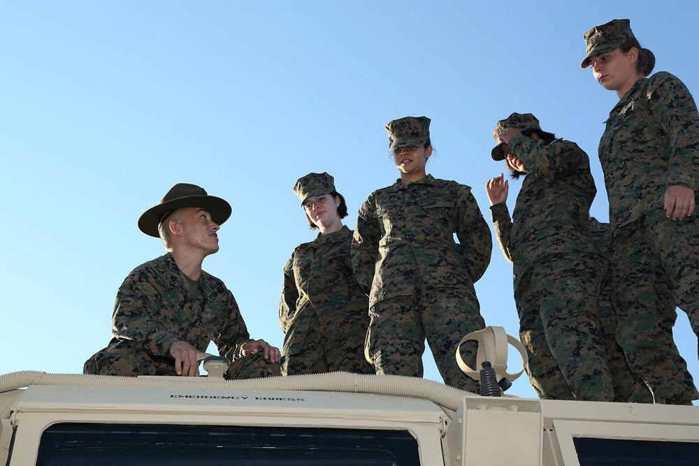 Basic Marine Platoon Receives Period of Instruction on Military Vehicles