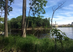 USACE Buffalo, Detroit Districts complete 5-year study in Menominee AOC
