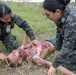 U.S. Navy Promotes Medical Readiness in Honduras