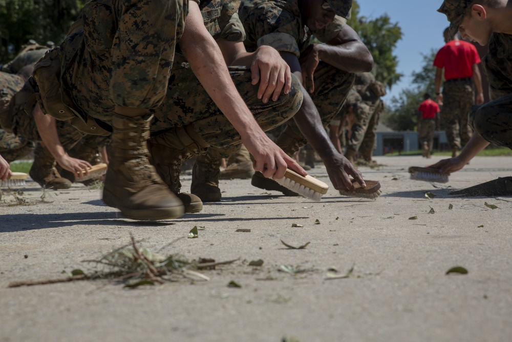 Recruits Return to Parris Island