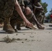 Recruits Return to Parris Island