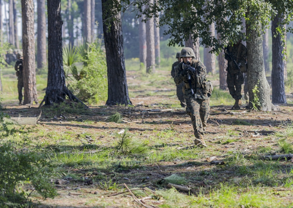 Basic Warrior Training