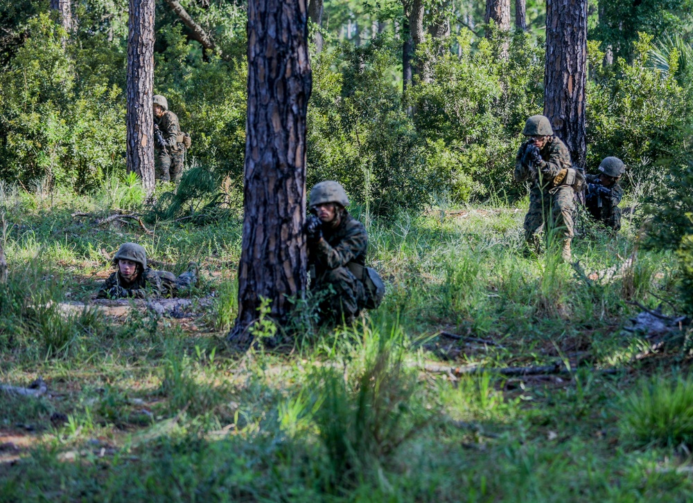 Basic Warrior Training