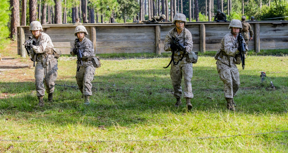 Basic Warrior Training