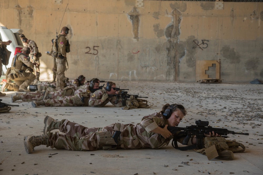 Norwegians Rifle Range