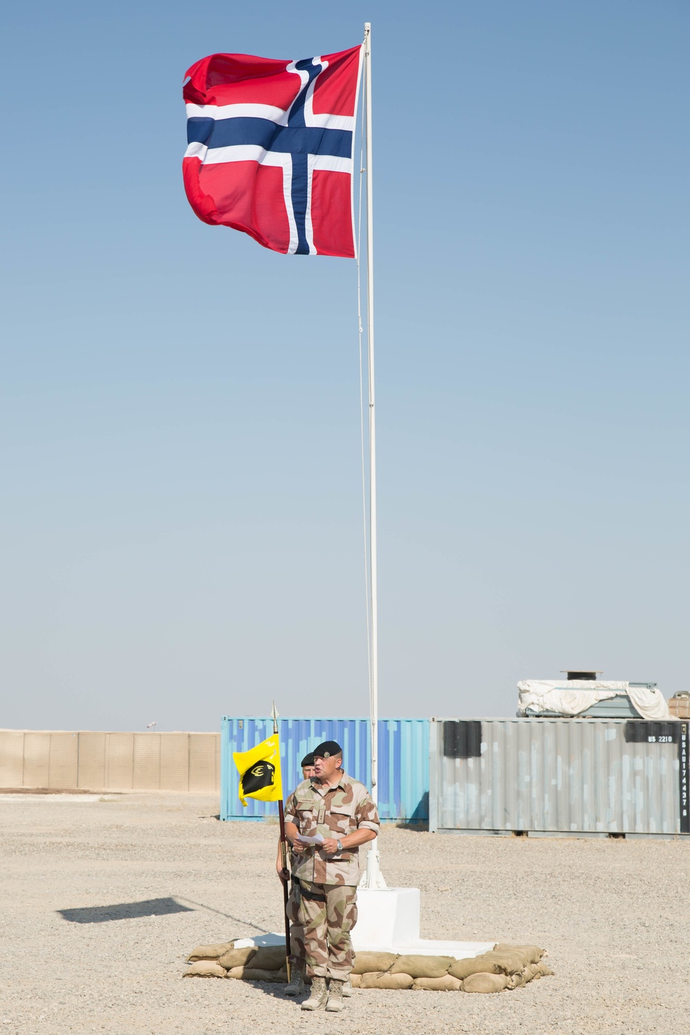 Task Force Viking Change of Command