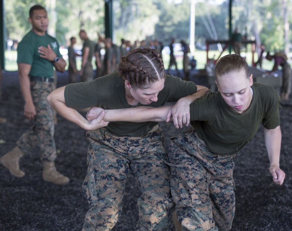 DVIDS - Images - Recruits execute Marine Corps Martial Arts movements ...