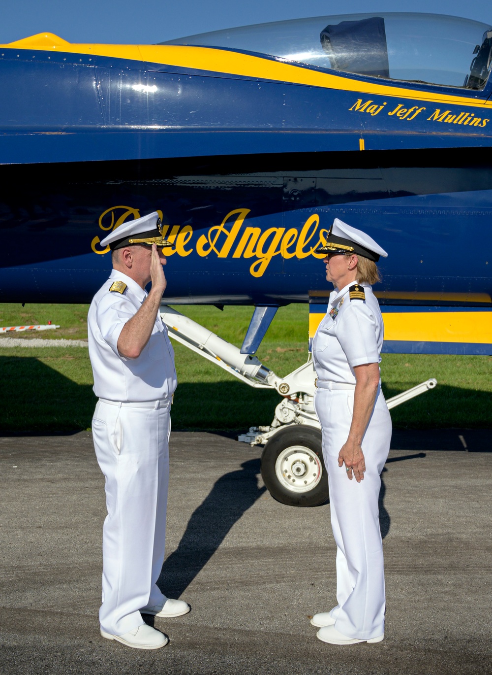 Navy Entomologist Promoted in front of Insect Jet