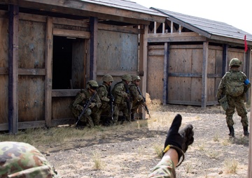 Illinois Guardsmen walk into Rising Thunder training