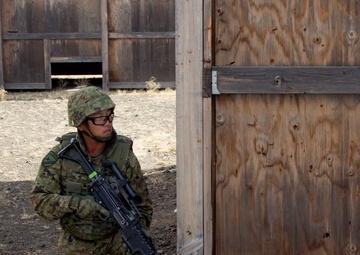 178th walks into training - Incremental relationships with incremental warrior skills at Rising Thunder Part 2 of a 3-part series