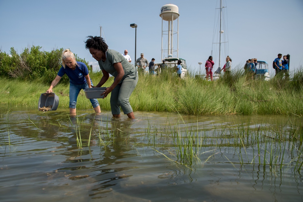 Students receive pearls of wisdom planting oysters