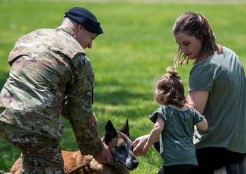 A paw-rtner retires: thank you for your service