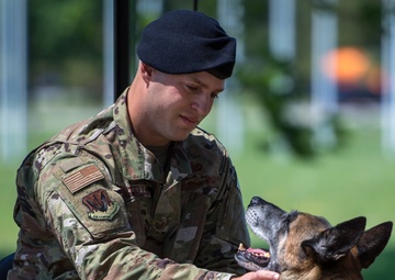 A paw-rtner retires: thank you for your service