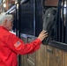 Trail to Zero ride educates on Veteran suicide, equine therapy