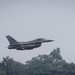 F-16 Vipers return home