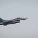 F-16 Vipers return home