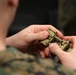 Marine Corps awards contract for new night vision goggles