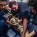 USS Harpers Ferry Conducts Medical Training Exercise