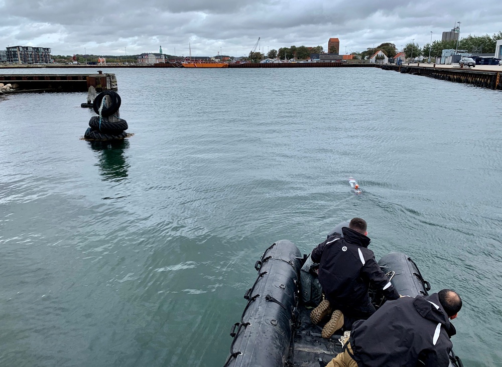 US Navy begins participation in exercise Northern Coasts 2019
