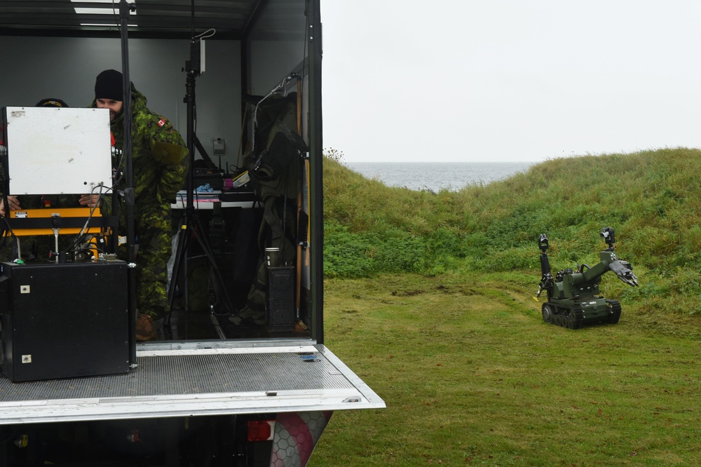 Canadian Clearance Divers Participate in Exercise Nothern Coasts 2019