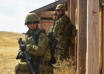 Japan raises the bar at Rising Thunder 2019