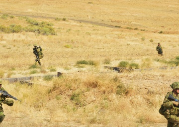 Japan raises the bar at Rising Thunder 2019