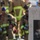 9/11 Moving Tribute 5K 9/11 Moving Tribute 5K