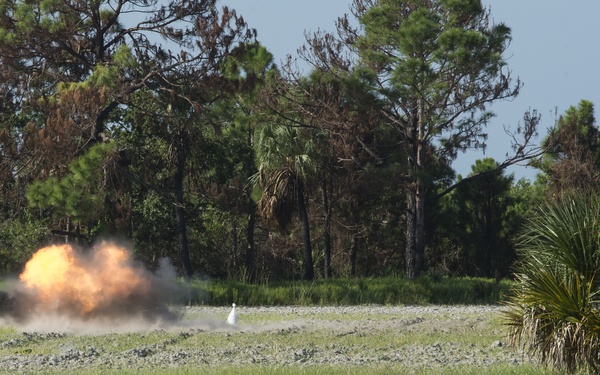 MacDill Trains local TSA