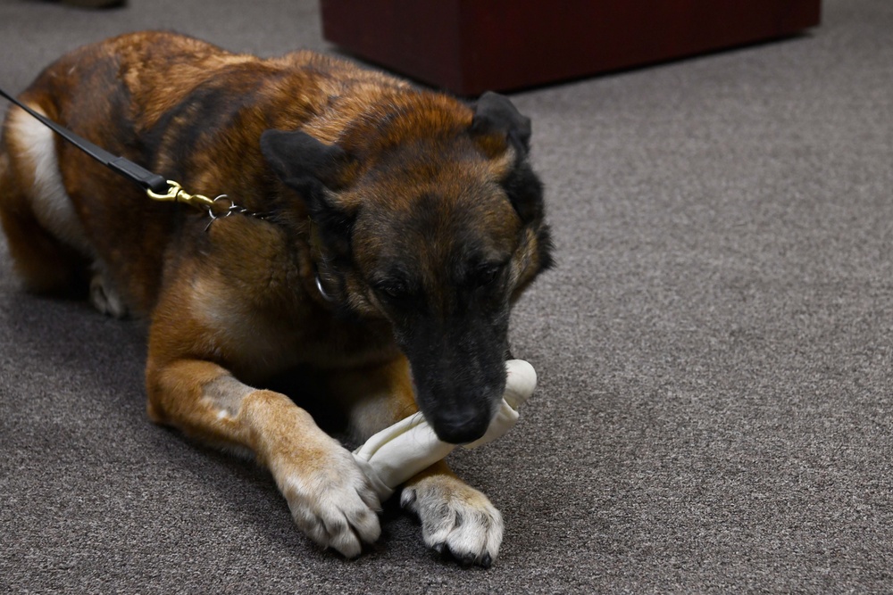 97th SFS Retires Military Working Dog