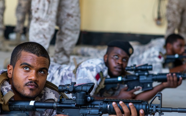 Qatari Subject Matter Expertise Exchange, Practice Makes Perfect