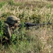 10th Mountain Assault Brigade Infantry Live Fire