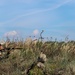 10th Mountain Assault Brigade Infantry Live Fire