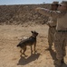 Range preparation in Wadi Shadiya