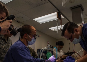 A stronger bite for a future fight