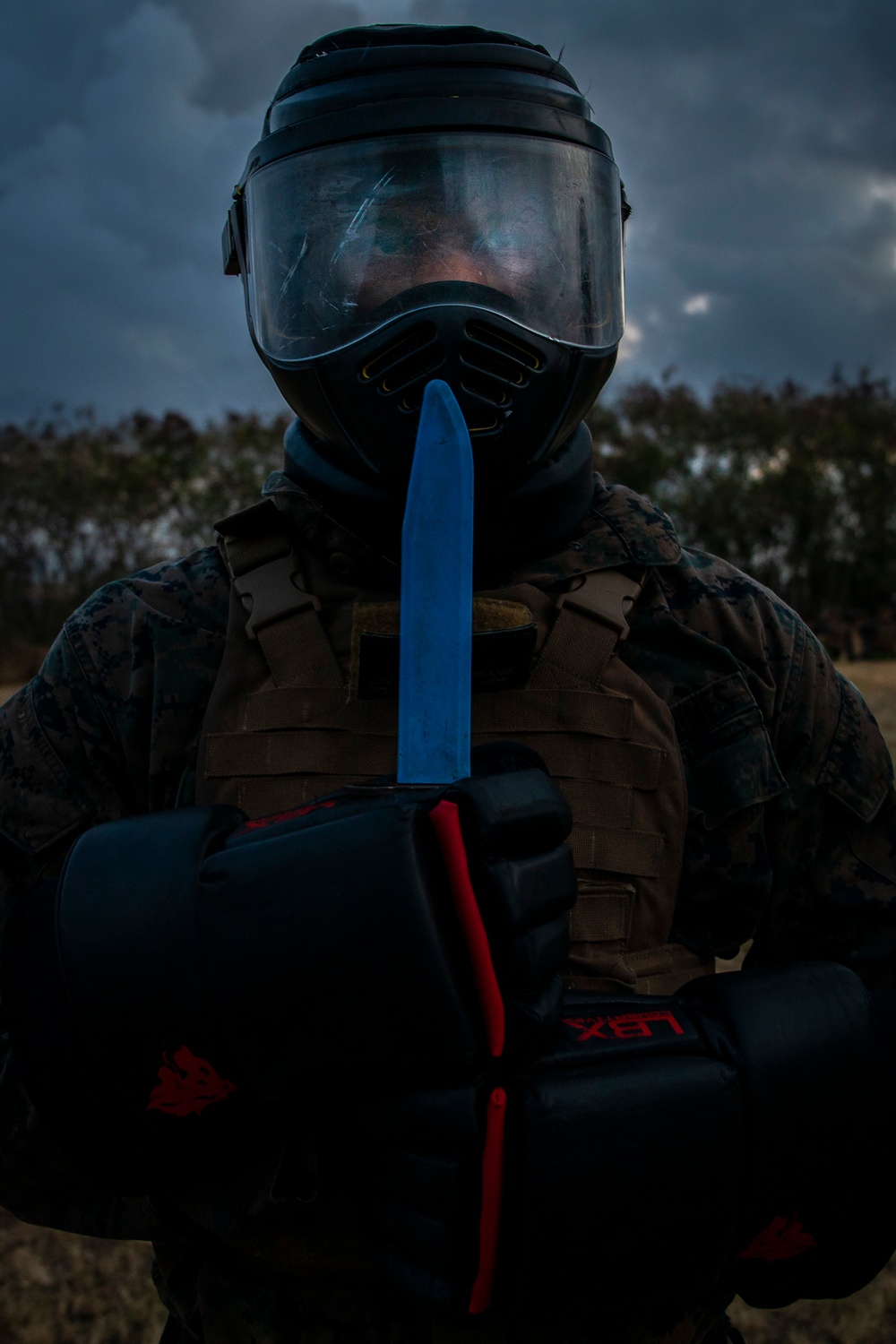 Spar unto Dawn: Marines complete MAIC