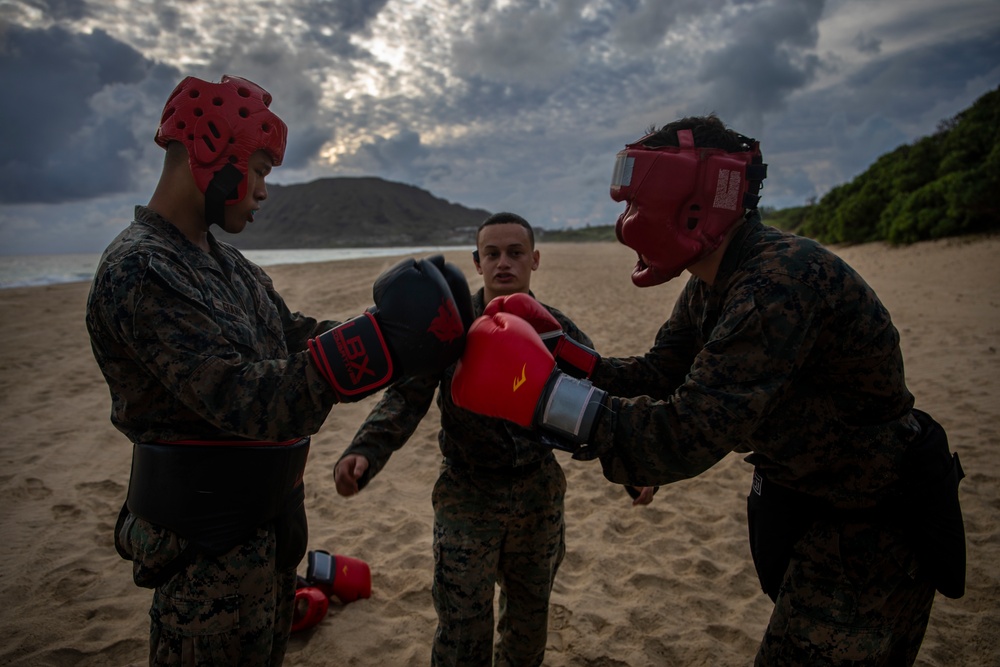 Spar unto Dawn: Marines complete MAIC