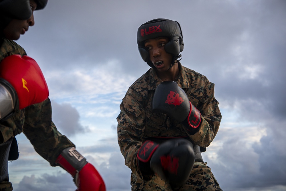 Spar unto Dawn: Marines complete MAIC