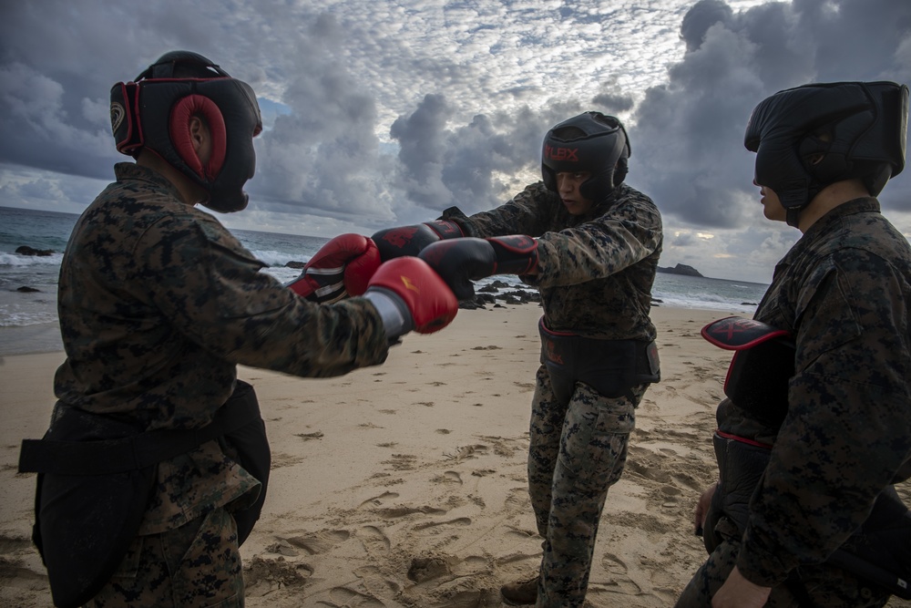 Spar unto Dawn: Marines complete MAIC
