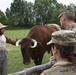 Army Civil Affairs Training at the Genesee Country Village and Museum