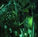 C-130J performs a Joint Forcible Entry at Mobility Guardian 2019