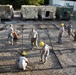 442d MSG participate in ground base exercise at Cannon Range