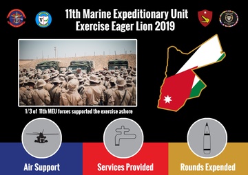 Eager Lion Infographic