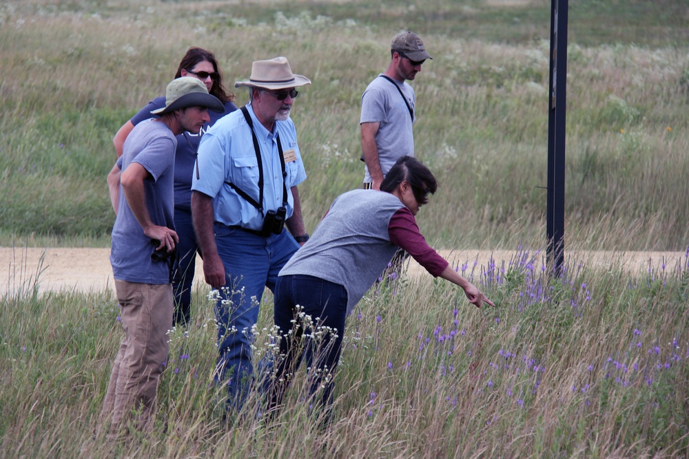 Butterfly Field Days