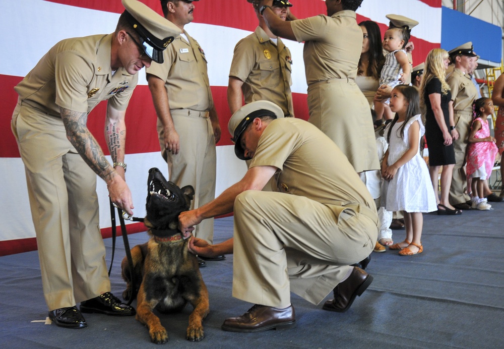 Military Working Dog Receives Anchors