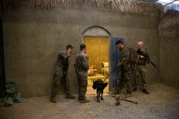 Phoenix Odyssey brings British and U.S. units together to train